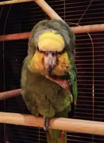 Screen Shot 2012-12-27 at 20.37.57.webp Screen Shot 2012-12-27 at 20.37.57.webp