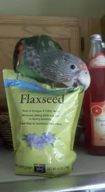 beak249707_548550483748_1218709_n.webp