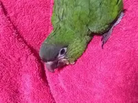 image.webp