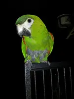 406674_10151214004013215_1421740606_n.webp
