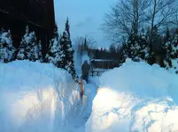 image.webp
