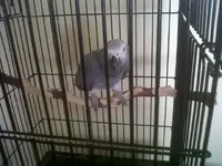 IMG00227-20121228-1103.webp