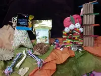 parrotsanta3.webp