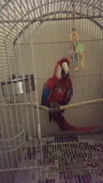 IMAG0116.webp