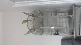 20140828_151129.webp