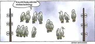 funny bird cartoon wireless technology.webp