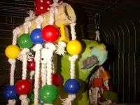 IMG-20131219-00358.webp
