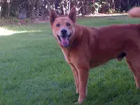IMG-20131221-00382.webp