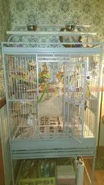 IMAG4089.webp