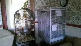 IMAG4071.webp