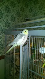 IMAG4091.webp
