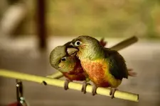 uploadfromtaptalk1440539967261.webp uploadfromtaptalk1440539967261.webp