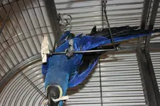 IMG_4335.webp IMG_4335.webp