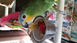 20150625_114305.webp