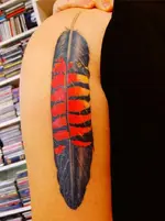 tattoo.webp