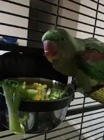 image.webp image.webp