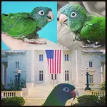 ImageUploadedByTapatalk1441294804.283618.webp ImageUploadedByTapatalk1441294804.283618.webp