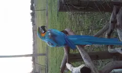 20150110_174055.webp