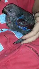 uploadfromtaptalk1441522615004.webp uploadfromtaptalk1441522615004.webp