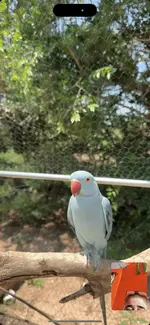 IMG_0177.webp