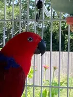 image3.webp