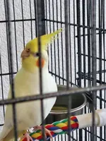 20240812_114932.webp