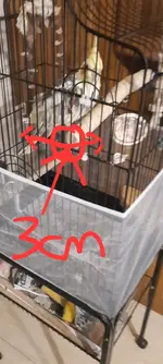 VideoCapture_20250415-170706.webp