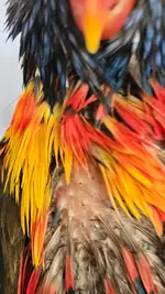 20250421_103057.webp