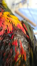 20250421_102907.webp