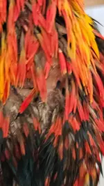 20250421_103024.webp