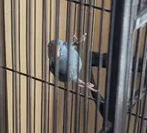 1000005681.webp
