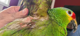 20250528_083427.webp