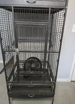 fan_bird_room.webp