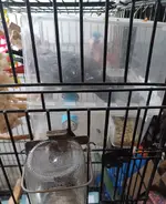 20250627_181136.webp