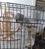 20250627_181616.webp