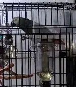 20250708_090433.webp