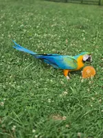 20250803_190826.webp