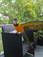 20250729_204304.webp