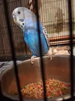 20250821_055933.webp