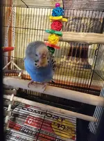FB_IMG_1746066586867.webp