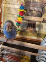 FB_IMG_1746066589966.webp