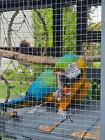 20250621_185716.webp