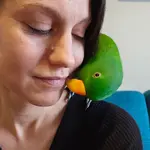 best birbs.webp