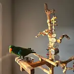 Sweet boi IMG_20240321_181620_792.webp