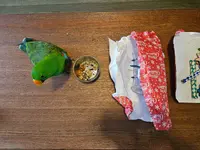 20231225_103547.webp