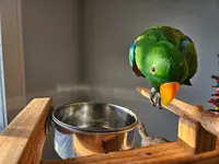20240321_181355.webp