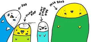 birb collection.webp