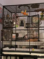 IMG_1478.webp