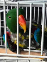 1000002146.webp