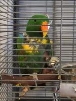 1000002149.webp